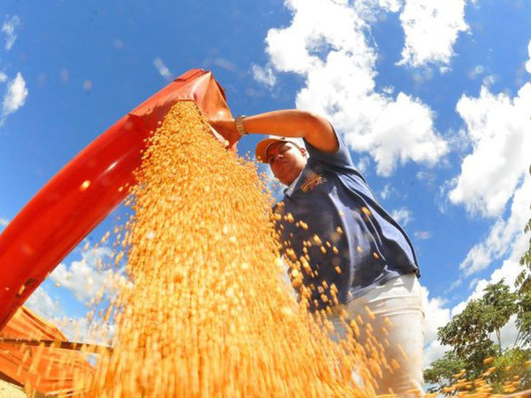 Atividade econ&ocirc;mica brasileira cresce 0,6% em fevereiro