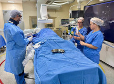 Hemodin&acirc;mica Vascular no ICSC 