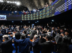 Rea&ccedil;&atilde;o do Plen&aacute;rio no momento em que foi divulgado o resultado da vota&ccedil;&atilde;o


