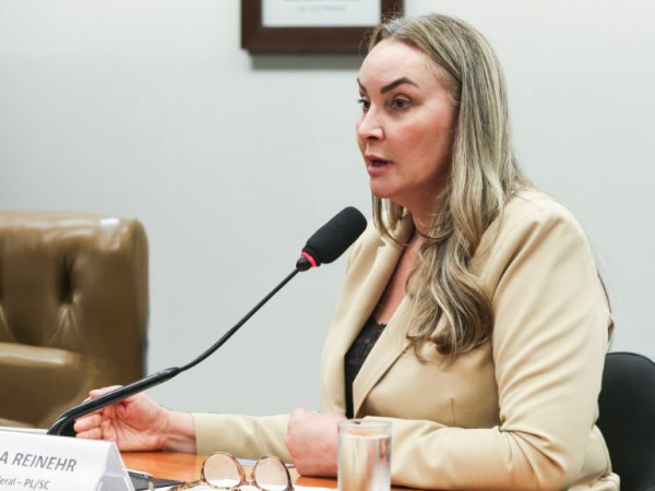 Deputada federal Daniela Reinehr (PL)