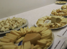 Brasil come&ccedil;a a importar queijo mais barato ap&oacute;s acordo MercosulUE