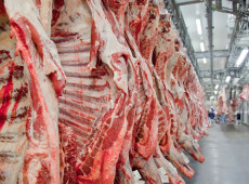 Governo promete reverter veto da UE a carnes e animais brasileiros