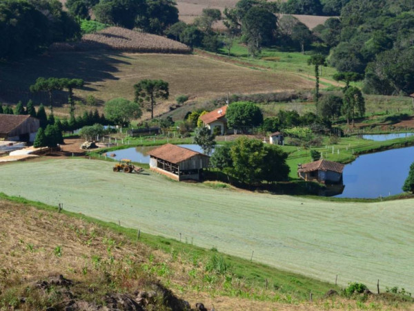 A norma prev&ecirc; que bancos e institui&ccedil;&otilde;es financeiras verifiquem, antes da libera&ccedil;&atilde;o do financiamento, se houve supress&atilde;o irregular de vegeta&ccedil;&atilde;o nativa nas propriedades rurais ap&oacute;s 31 de julho de 2019