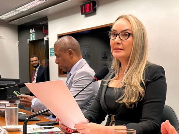 Deputada federal Daniela Reinehr (PL)
