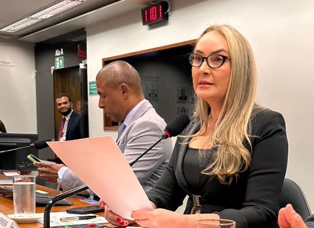 Deputada federal Daniela Reinehr (PL)