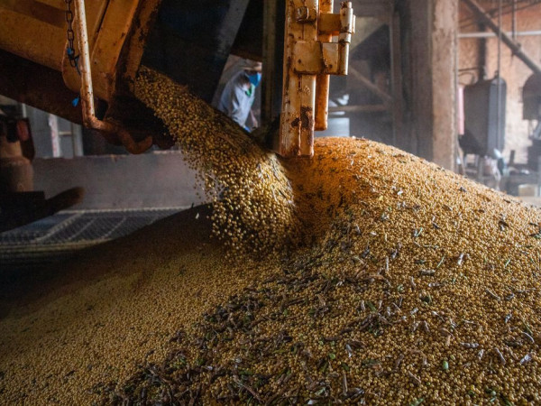 Economia brasileira cresce 1,1% no 1&ordm; trimestre
