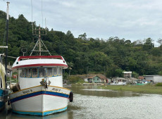 A obra &eacute; uma necessidade para a sobreviv&ecirc;ncia econ&ocirc;mica das fam&iacute;lias de pescadores e estaleiros locais