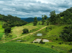 O programa estabelece um pagamento por servi&ccedil;os ambientais &uacute;nico, com limite m&iacute;nimo de 1 hectare e m&aacute;ximo de 10 hectares por propriedade