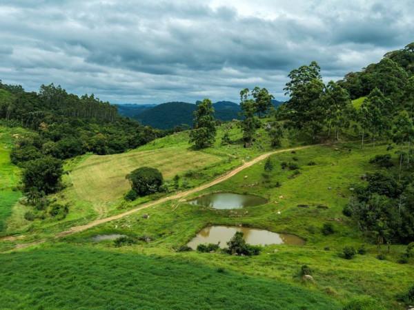 O programa estabelece um pagamento por servi&ccedil;os ambientais &uacute;nico, com limite m&iacute;nimo de 1 hectare e m&aacute;ximo de 10 hectares por propriedade