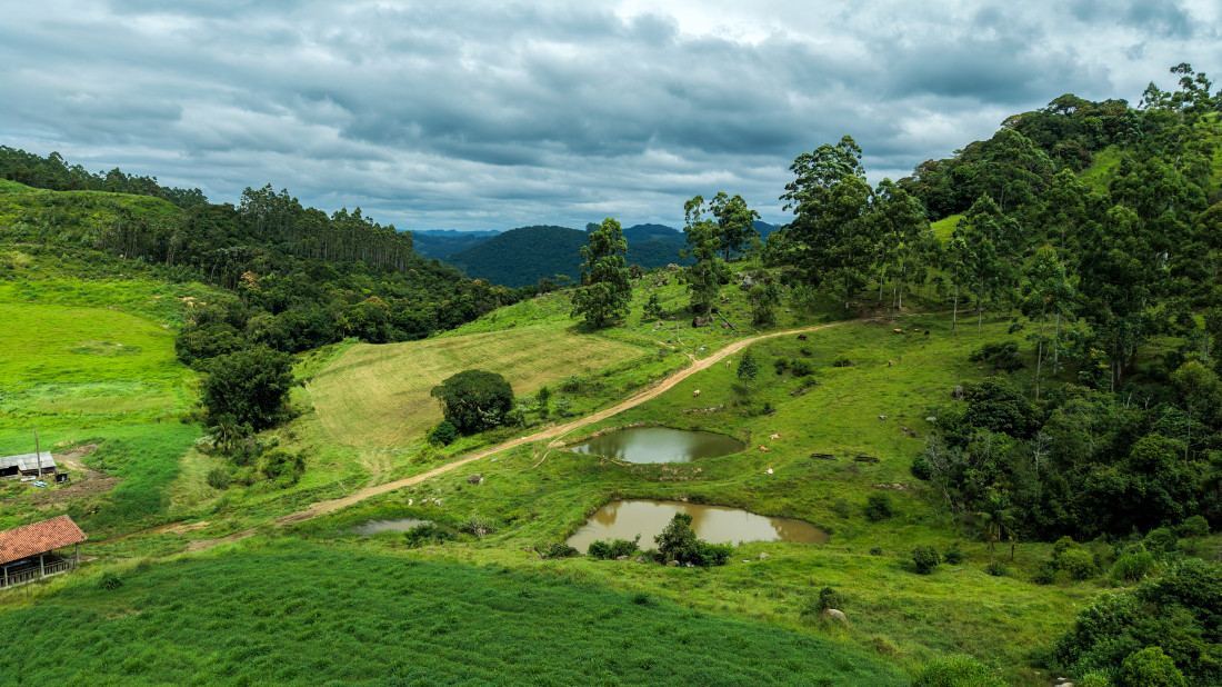 O programa estabelece um pagamento por serviços ambientais único, com limite mínimo de 1 hectare e máximo de 10 hectares por propriedade