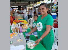 Agricultores familiares aumentam renda em 30% com programa federal&nbsp;