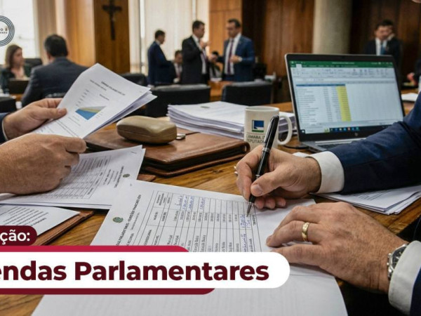 No documento, o presidente do TCE/SC, conselheiro Herneus Jo&atilde;o De Nadal, ressalta que a adequa&ccedil;&atilde;o das normas locais deve observar o princ&iacute;pio da simetria constitucional