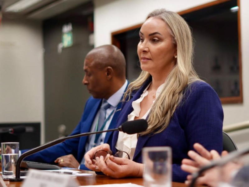 A PEC tamb&eacute;m autoriza os estados a criarem abatimentos para ve&iacute;culos menos poluentes, desde que respeitado o limite m&aacute;ximo previsto no texto, informou a parlamentar