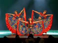 O 43&ordm; Festival de Dan&ccedil;a de Joinville ser&aacute; realizado de 20 de julho a 1&ordm; de agosto, com mais de 650 horas de apresenta&ccedil;&otilde;es