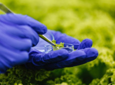 O avan&ccedil;o dos bioinsumos refor&ccedil;a uma transforma&ccedil;&atilde;o em curso na agricultura brasileira.