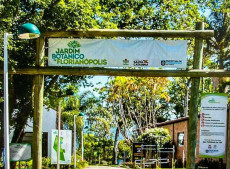 Evento gratuito no Jardim Bot&acirc;nico de Florian&oacute;polis convida popula&ccedil;&atilde;o a conhecer e proteger os manguezais