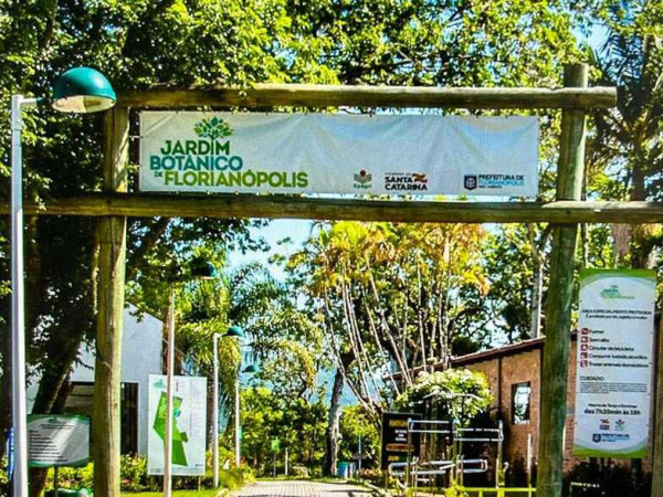 Evento gratuito no Jardim Bot&acirc;nico de Florian&oacute;polis convida popula&ccedil;&atilde;o a conhecer e proteger os manguezais