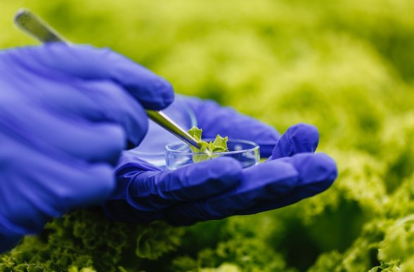 O avanço dos bioinsumos reforça uma transformação em curso na agricultura brasileira.