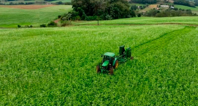 A medida alcança produtores rurais e cooperativas de produção agropecuária que registraram perdas entre 2019 e 2025