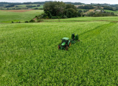 Os financiamentos ter&atilde;o juros anuais de 6% para o Pronaf, 9% para o Pronamp e 12% para os demais produtores