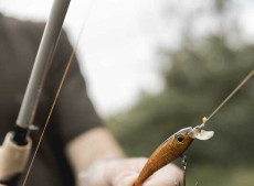 Com a chegada do inverno, os pescadores precisam adaptar t&eacute;cnicas e estrat&eacute;gias para acompanhar as mudan&ccedil;as no comportamento dos peixes.