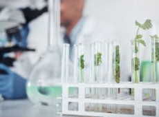 F&oacute;rum Bioinsumos no Agro debater&aacute; como transformar riqueza natural e conhecimento cient&iacute;fico em competitividade internacional.