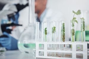 Fórum Bioinsumos no Agro debaterá como transformar riqueza natural e conhecimento científico em competitividade internacional.