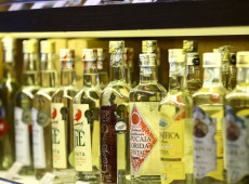 Cresce o n&uacute;mero de estabelecimentos na cadeia produtiva da cacha&ccedil;a