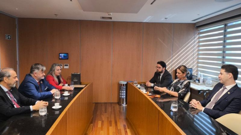 A Diretoria de Relações Institucionais, Nara de Deus ressaltou a importância da articulação institucional em defesa dos setores do comércio, serviços e turismo.