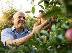 Al&eacute;m das cadeias tradicionais, o Sebrae/SC mant&eacute;m o programa de Inclus&atilde;o Socioprodutiva, voltado ao fortalecimento da agricultura familiar 
