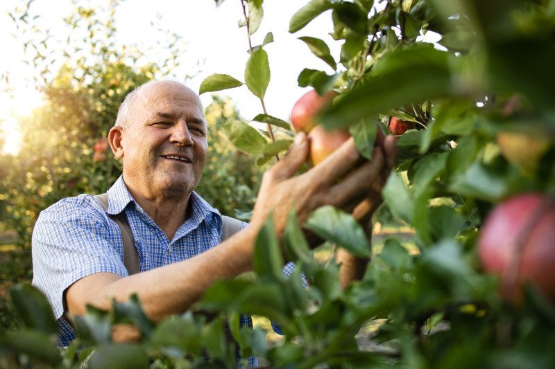 Além das cadeias tradicionais, o Sebrae/SC mantém o programa de Inclusão Socioprodutiva, voltado ao fortalecimento da agricultura familiar 
