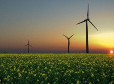 Especialistas destacaram como os cr&eacute;ditos de biodiversidade podem transformar a conserva&ccedil;&atilde;o ambiental em um ativo estrat&eacute;gico para as empresas.