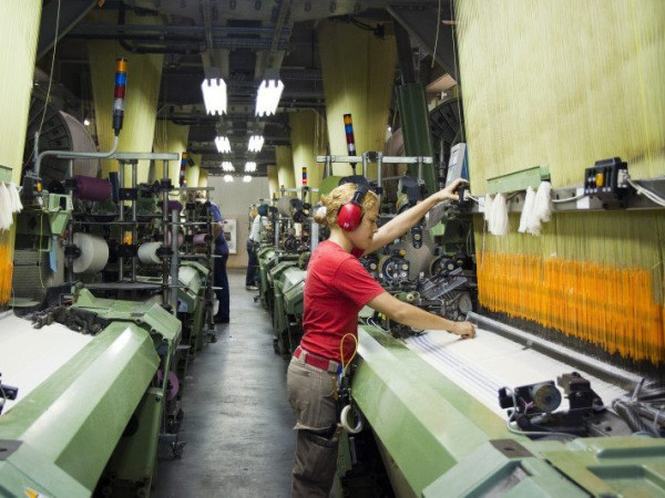 Setor exportou cerca de US$ 288,6 milh&otilde;es em 2024.