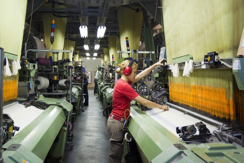 Setor exportou cerca de US$ 288,6 milhões em 2024.