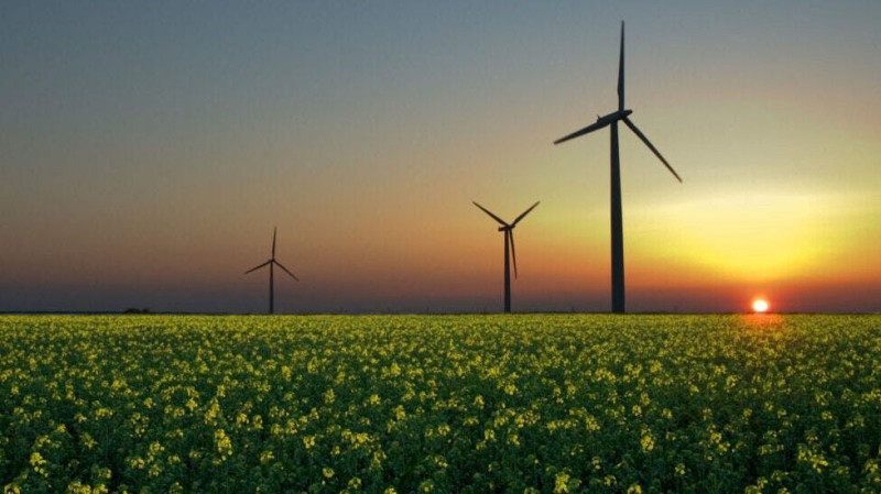 Especialistas destacaram como os créditos de biodiversidade podem transformar a conservação ambiental em um ativo estratégico para as empresas.
