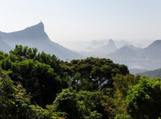 O evento busca a constru&ccedil;&atilde;o coletiva de prioridades do setor produtivo relacionadas &agrave; biodiversidade no contexto brasileiro.