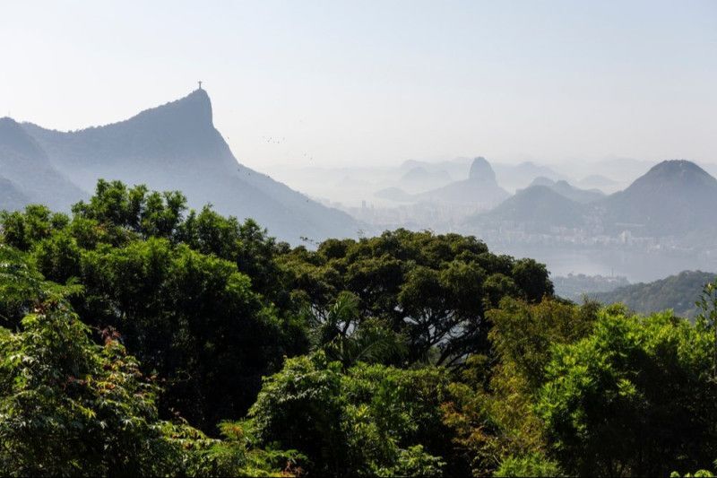O evento busca a construção coletiva de prioridades do setor produtivo relacionadas à biodiversidade no contexto brasileiro.