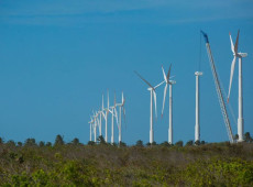 Projeto mapeia caminhos para economia verde no Nordeste