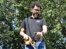Enxada diferente: equipamento elimina plantas daninhas com descarga el&eacute;trica.