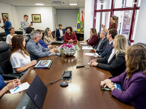  reuni&atilde;o comandada pela vice-governadora Marilisa Boehm, na tarde desta quarta-feira, na Capita