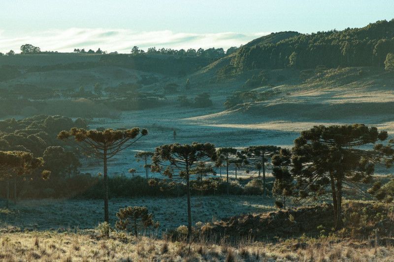 Queda acentuada começa pelo Grande Oeste e avança para as demais regiões; população deve redobrar os cuidados com a exposição às baixas temperaturas