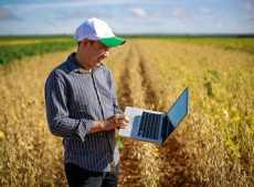 Programa&ccedil;&atilde;o contempla treinamentos em diversas &aacute;reas do agroneg&oacute;cio. 
