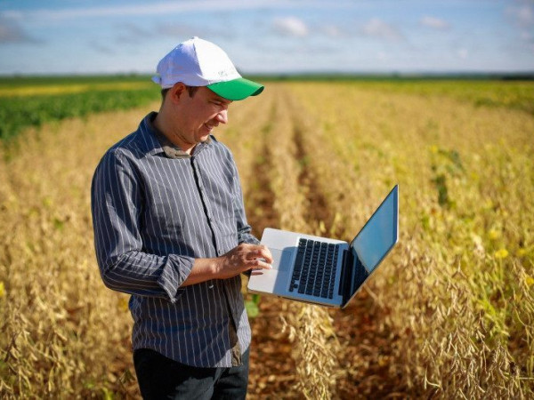 Programa&ccedil;&atilde;o contempla treinamentos em diversas &aacute;reas do agroneg&oacute;cio. 