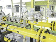 Dados da SCG&Aacute;S mostram concentra&ccedil;&atilde;o do consumo em setores intensivos em energia, enquanto a ind&uacute;stria metalmec&acirc;nica re&uacute;ne o maior n&uacute;mero de unidades conectadas &agrave; rede de distribui&ccedil;&atilde;.