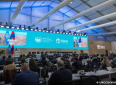 17&ordf; Confer&ecirc;ncia das Na&ccedil;&otilde;es Unidas de Combate &agrave; Desertifica&ccedil;&atilde;o (COP17)