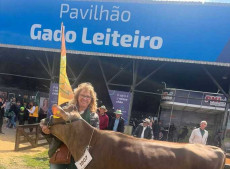 entro de poucos dias, o Parque de Exposi&ccedil;&otilde;es Assis Brasil come&ccedil;a a receber os expositores para a 49a edi&ccedil;&atilde;o da Expointer, em Esteio (RS).