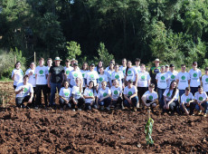 Na etapa final do programa, foram plantadas 130 mudas de 16 esp&eacute;cies nativas.