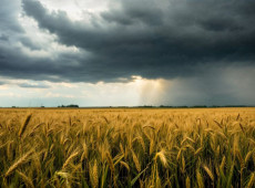 O avan&ccedil;o do El Ni&ntilde;o tornou-se o principal fator clim&aacute;tico de aten&ccedil;&atilde;o para o agroneg&oacute;cio brasileiro.