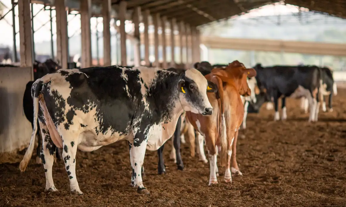 UE suspende carnes do Brasil; entenda impacto e pr&oacute;ximos passos