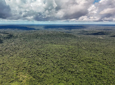 Fazenda autoriza cr&eacute;dito de US$ 1 bilh&atilde;o do BID para Eco Invest Brasil